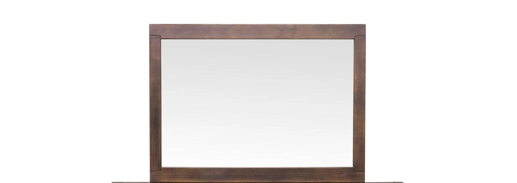 Steve Silver Pasco Mirror in Cocoa